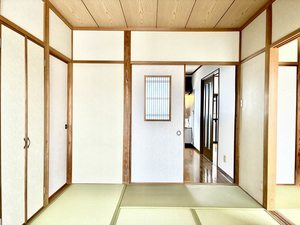 チェリーブロッサム A0102号-12