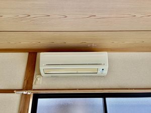 チェリーブロッサム A0102号-14