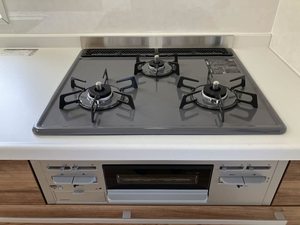 ピュアネス A0203号-5