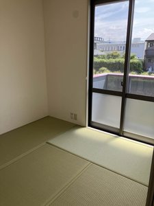 ピュアネス A0203号-11