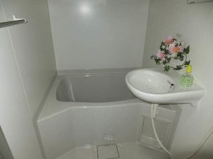 イストワール A0202号-5