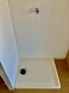 サウスウイング　　Ａ棟 A0202号-12