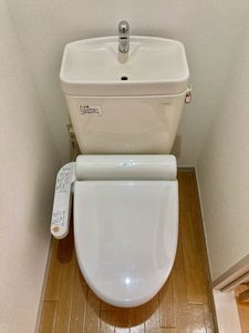 サウスウイング　　Ａ棟 A0202号-15