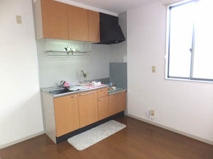 メゾン樅の木　Ａ棟 A0101号-3