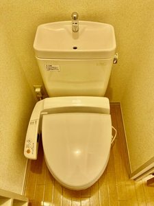 シャーメゾンMIHO A0101号-8