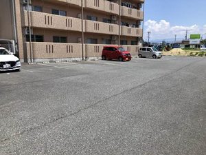 ペーシュメイ A0102号-2