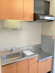 シャーメゾン．エル A0202号-5