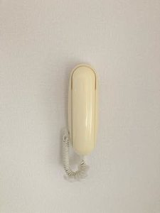 シャーメゾン．エル A0202号-12