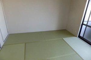 シャーメゾン・レーヴ叶　Ｃ棟 C0101号-12