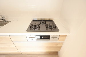 メゾン・ド・ファミーユ A0101号-3