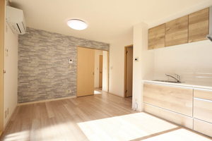 メゾン・ド・ファミーユ A0101号-7