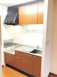 ムーンレイク A0202号-2