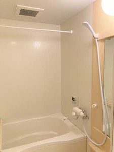 メゾン・はなみずき A0103号-11