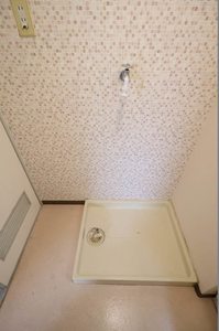 シェソワホリオ A0206号-7