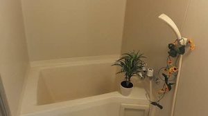 コーポ松浦　Ｃ棟 A0102号-1