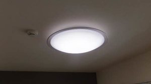 セフィラSSK B棟 B0210号-11