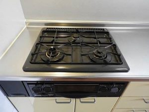 エルカーサニッシャラ A0307号-6