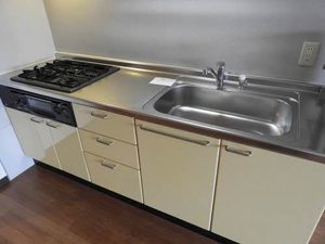 エルカーサニッシャラ A0307号-8