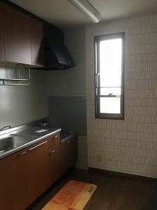 ピースフルラビット A0201号-3