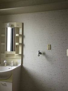 ピースフルラビット A0201号-6