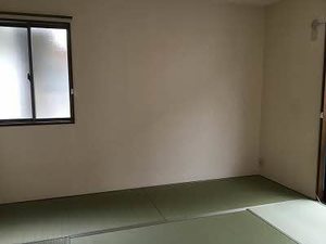 ピースフルラビット A0201号-10