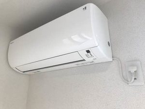 T’sレーヴィンス A0202号-12