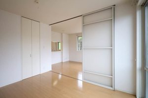 ルピナス C C0202号-3