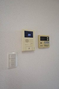 ルピナス C C0202号-11