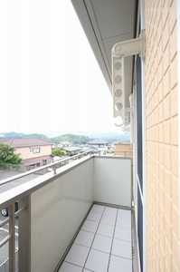 ルピナス C C0202号-12