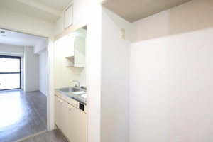 エスペランサＮＳコート A0301号-4