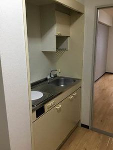 エスペランサNSコート A0402号-12
