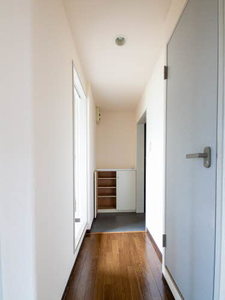 クローカス浜角壱番館 A0203号-11