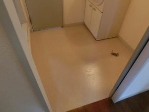 ディアス飛鳥　Ｂ棟 B0101号-13