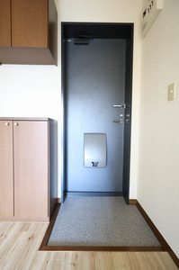 ＰＡＳＴＯＲＡＬＥ A0205号-13