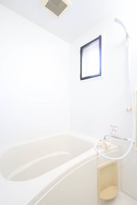 サン　フレアー A0204号-8