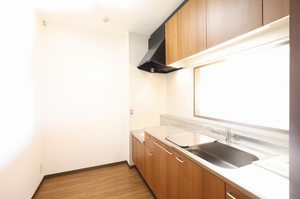 ミレニアム A0703号-9