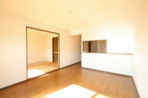 ミレニアム A0703号-10