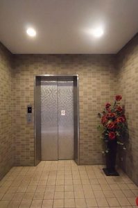 ミレニアム A0703号-12