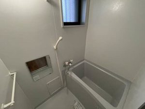 ジョルニ・フェリーチ A0201号-4