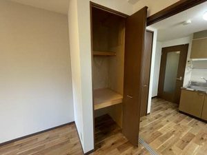 ジョルニ・フェリーチ A0201号-9