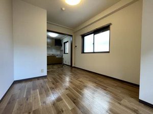 ジョルニ・フェリーチ A0201号-10