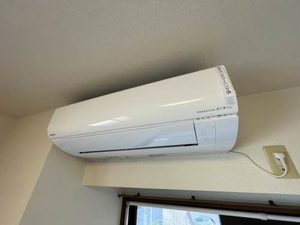 ジョルニ・フェリーチ A0201号-11