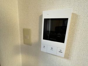 ジョルニ・フェリーチ A0201号-12