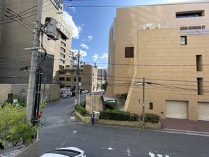 ジョルニ・フェリーチ A0201号-14