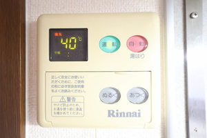 ジョルニ・フェリーチ A0301号-10