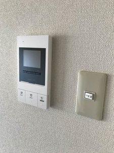 ジョルニ・フェリーチ A0705号-12