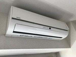 ジョルニ・フェリーチ A0705号-13