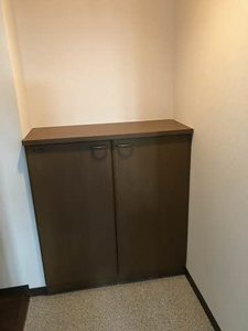 ジョルニ・フェリーチ A0705号-14