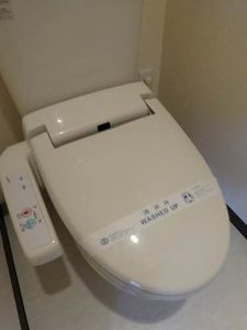 プリム ローズ A0401号-7