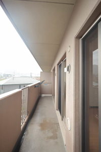 プリム　ローズ A0402号-12